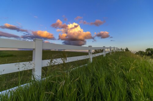Quarterly Perspectives: November 2024
